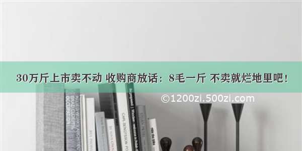 30万斤上市卖不动 收购商放话：8毛一斤 不卖就烂地里吧！