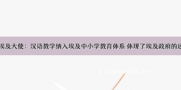 中国驻埃及大使：汉语教学纳入埃及中小学教育体系 体现了埃及政府的远见卓识