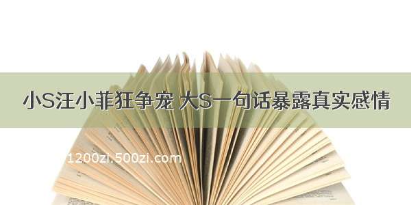 小S汪小菲狂争宠 大S一句话暴露真实感情