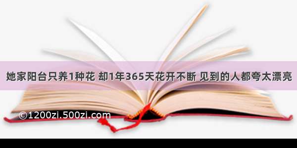 她家阳台只养1种花 却1年365天花开不断 见到的人都夸太漂亮