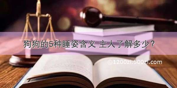 狗狗的5种睡姿含义 主人了解多少？