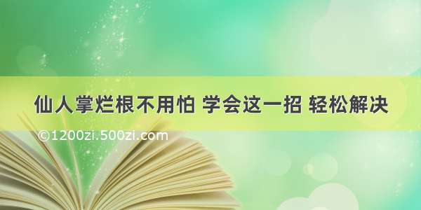 仙人掌烂根不用怕 学会这一招 轻松解决