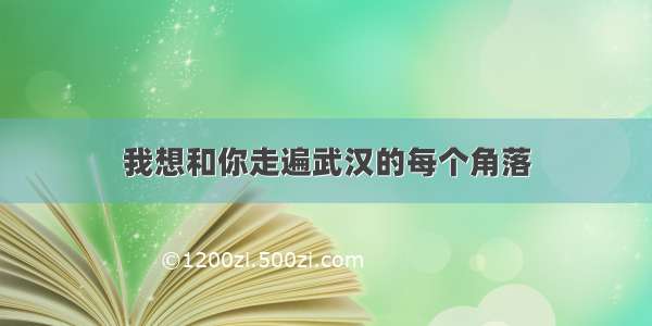 我想和你走遍武汉的每个角落