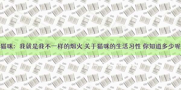 猫咪：我就是我不一样的烟火 关于猫咪的生活习性 你知道多少呢