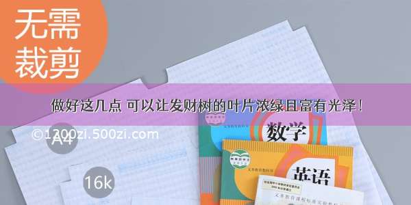 做好这几点 可以让发财树的叶片浓绿且富有光泽！