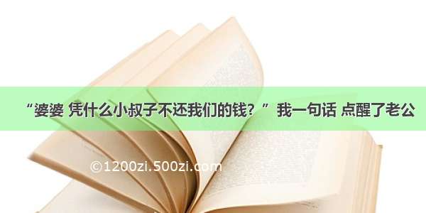 “婆婆 凭什么小叔子不还我们的钱？”我一句话 点醒了老公