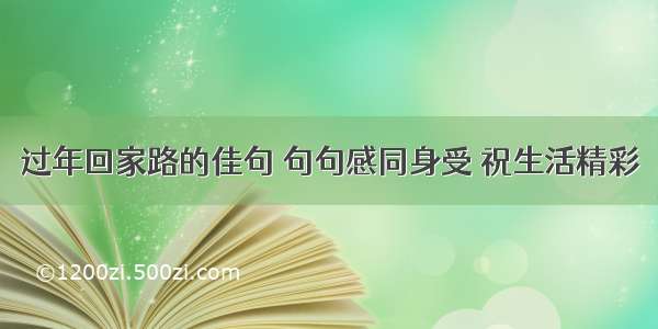 过年回家路的佳句 句句感同身受 祝生活精彩