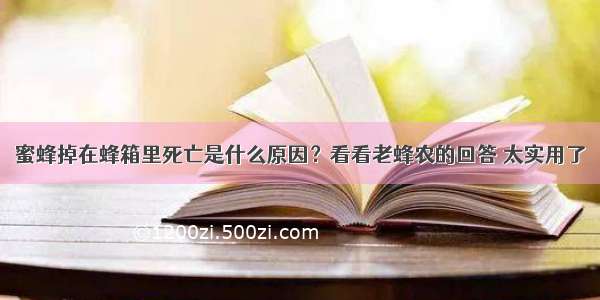 蜜蜂掉在蜂箱里死亡是什么原因？看看老蜂农的回答 太实用了