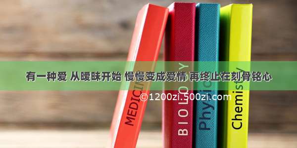 有一种爱 从暧昧开始 慢慢变成爱情 再终止在刻骨铭心