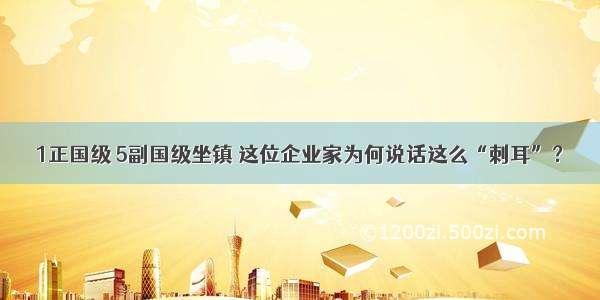 1正国级 5副国级坐镇 这位企业家为何说话这么“刺耳”？