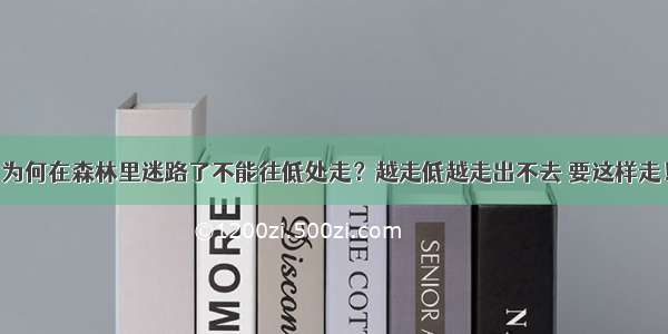 为何在森林里迷路了不能往低处走？越走低越走出不去 要这样走！