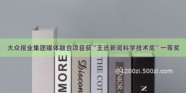 大众报业集团媒体融合项目获“王选新闻科学技术奖”一等奖