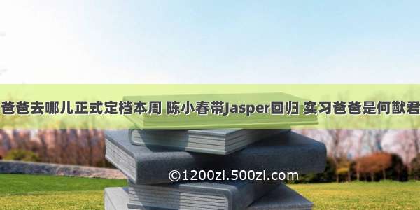 爸爸去哪儿正式定档本周 陈小春带Jasper回归 实习爸爸是何猷君