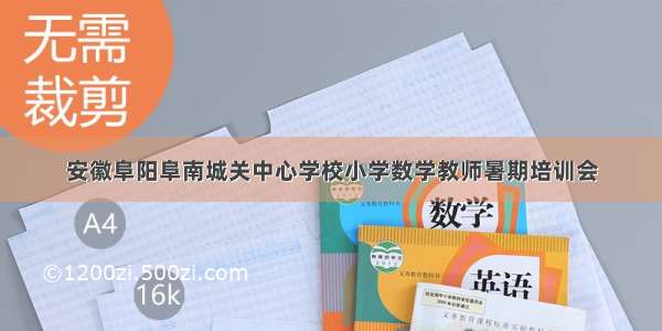 安徽阜阳阜南城关中心学校小学数学教师暑期培训会