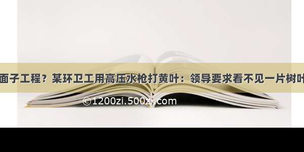 面子工程？某环卫工用高压水枪打黄叶：领导要求看不见一片树叶