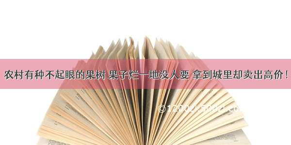 农村有种不起眼的果树 果子烂一地没人要 拿到城里却卖出高价！