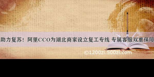 助力复苏！阿里CCO为湖北商家设立复工专线 专属客服双重保障