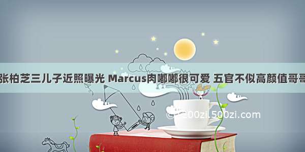 张柏芝三儿子近照曝光 Marcus肉嘟嘟很可爱 五官不似高颜值哥哥