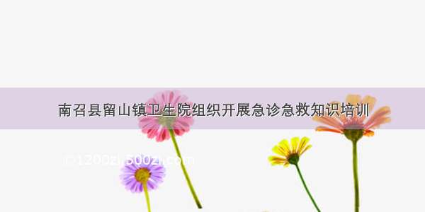 南召县留山镇卫生院组织开展急诊急救知识培训