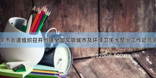 辛市街道组织召开创建全国文明城市及环境卫生大整治工作动员会