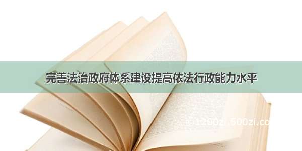 完善法治政府体系建设提高依法行政能力水平