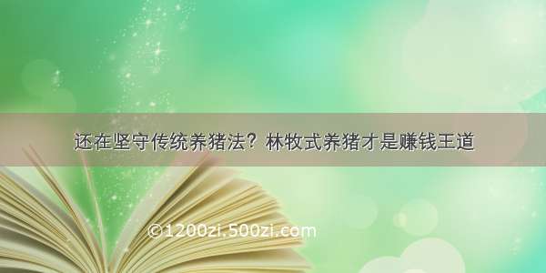 还在坚守传统养猪法？林牧式养猪才是赚钱王道