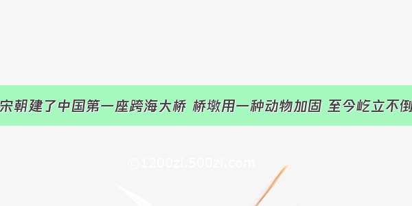 宋朝建了中国第一座跨海大桥 桥墩用一种动物加固 至今屹立不倒