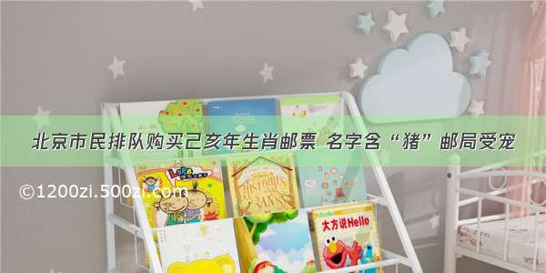 北京市民排队购买己亥年生肖邮票 名字含“猪”邮局受宠