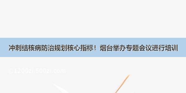 冲刺结核病防治规划核心指标！烟台举办专题会议进行培训