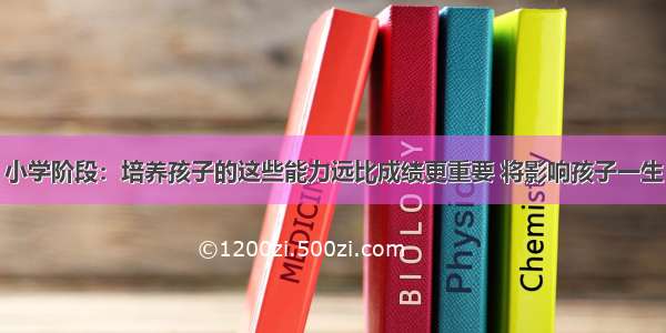 小学阶段：培养孩子的这些能力远比成绩更重要 将影响孩子一生