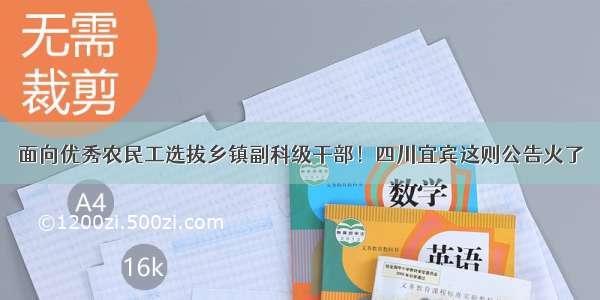 面向优秀农民工选拔乡镇副科级干部！四川宜宾这则公告火了