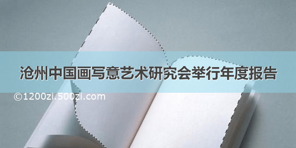 沧州中国画写意艺术研究会举行年度报告