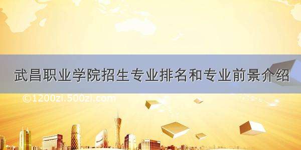 武昌职业学院招生专业排名和专业前景介绍