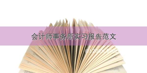 会计师事务所实习报告范文