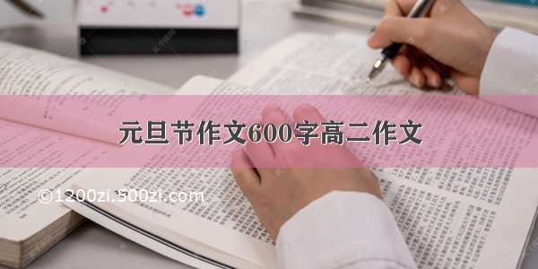 元旦节作文600字高二作文