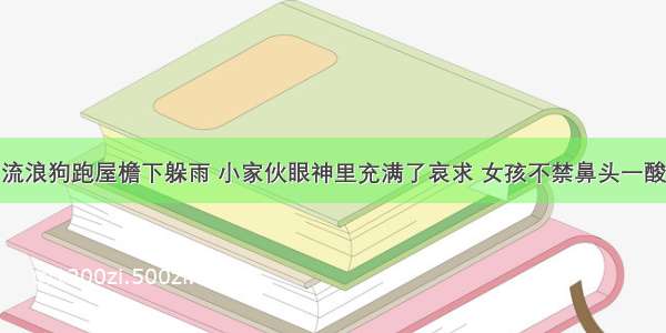 流浪狗跑屋檐下躲雨 小家伙眼神里充满了哀求 女孩不禁鼻头一酸