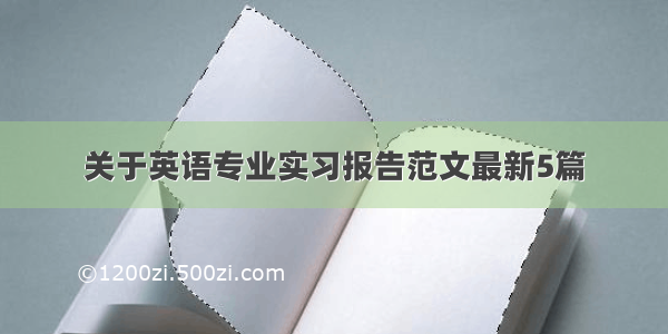 关于英语专业实习报告范文最新5篇