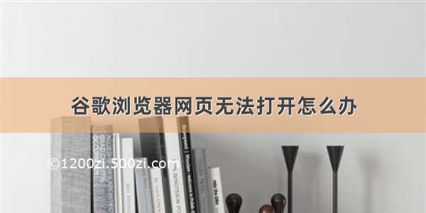 谷歌浏览器网页无法打开怎么办