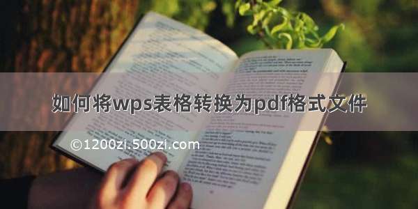 如何将wps表格转换为pdf格式文件