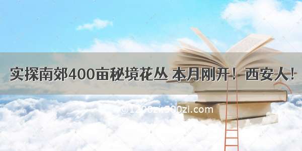 实探南郊400亩秘境花丛 本月刚开！西安人！