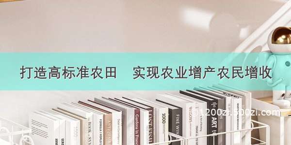 打造高标准农田 实现农业增产农民增收