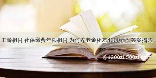 工龄相同 社保缴费年限相同 为何养老金相差4000元？答案揭晓！