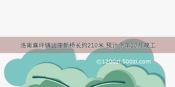 洛南麻坪镇这座新桥长约210米 预计今年10月竣工