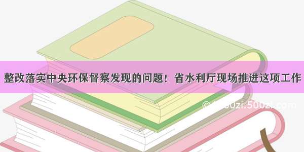 整改落实中央环保督察发现的问题！省水利厅现场推进这项工作