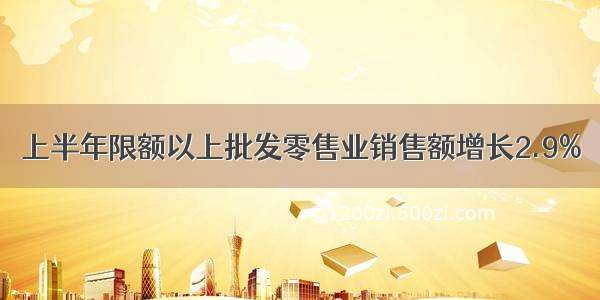 上半年限额以上批发零售业销售额增长2.9%