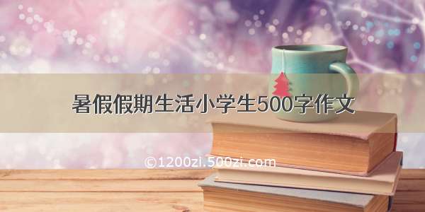 暑假假期生活小学生500字作文