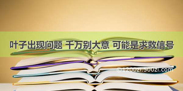 叶子出现问题 千万别大意 可能是求救信号