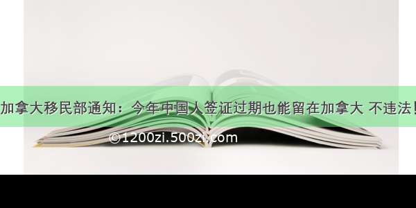 加拿大移民部通知：今年中国人签证过期也能留在加拿大 不违法！