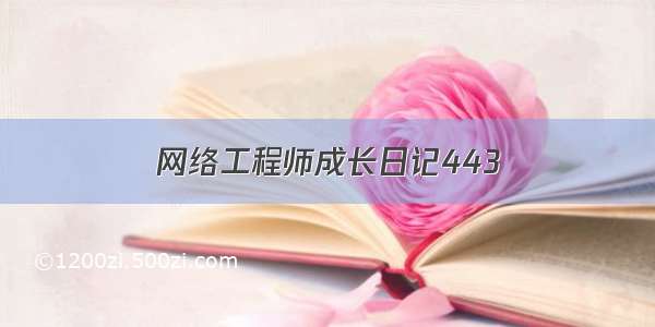 网络工程师成长日记443