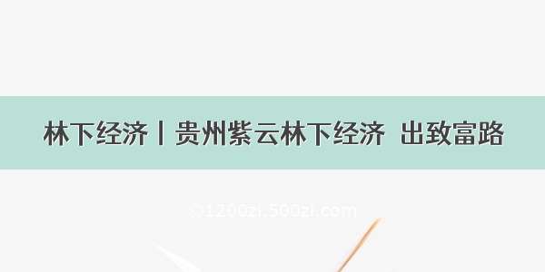 林下经济丨贵州紫云林下经济蹚出致富路